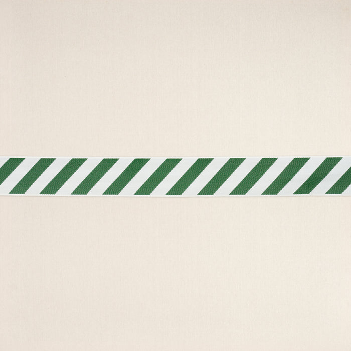 Schumacher Airmail II Indoor/Outdoor Tape Green And Ivory Trim Sample 82432