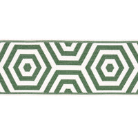 Schumacher Bees Knees Indoor/Outdoor Tape Green Trim 82451