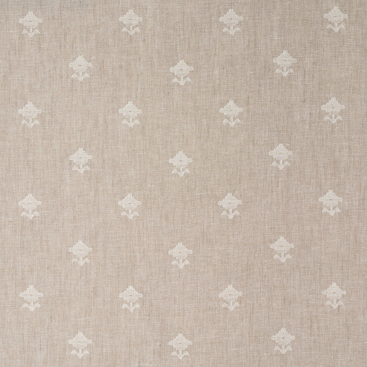 Schumacher Rubia Sheer Natural Fabric 82552