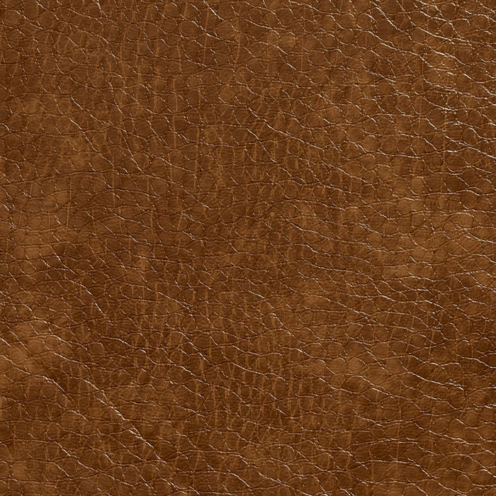 Charlotte 8270 Canyon Fabric