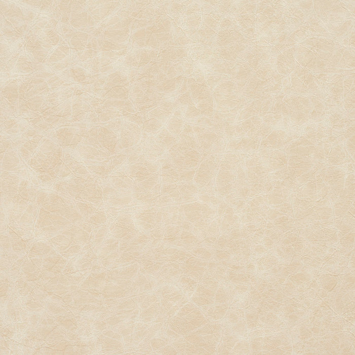 Charlotte 8288 Oyster Fabric Sample