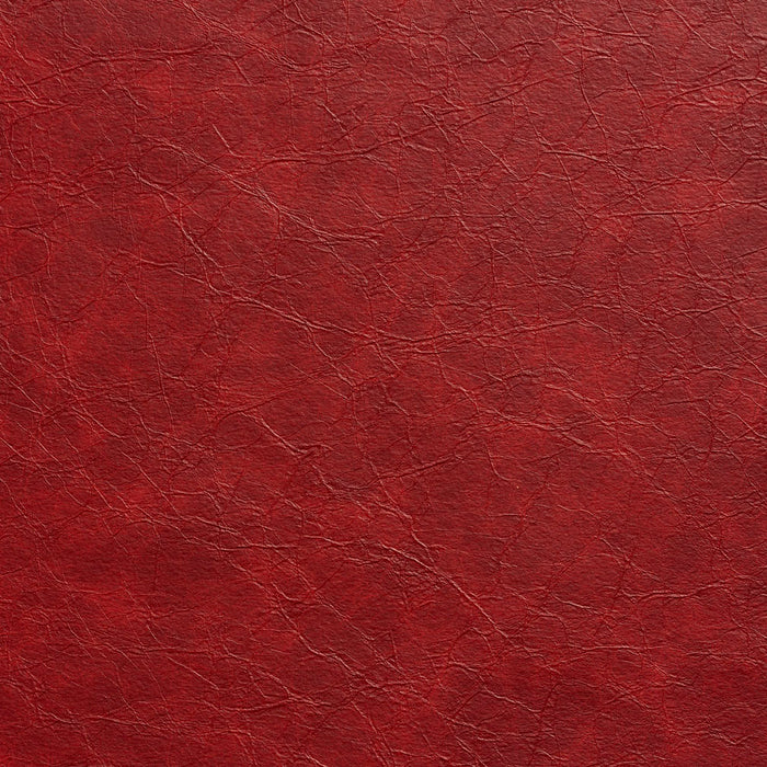 Charlotte 8292 Garnet Fabric Sample