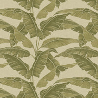 JF Fabrics 8293 75 Wallpaper 10020975