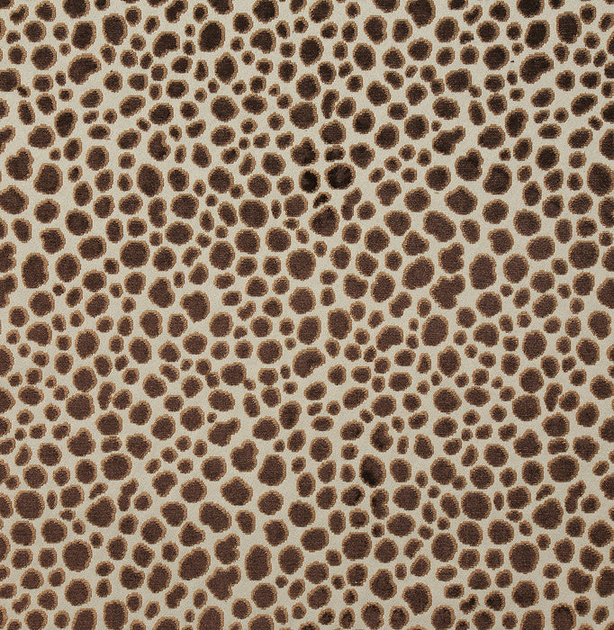 Pindler Magdalena Cocoa Fabric 8302