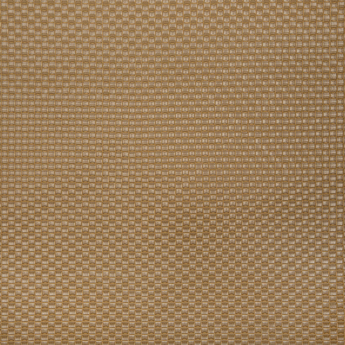 Pindler Kayce Dune Fabric 8368