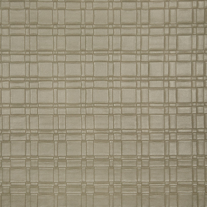 Pindler Roarke Pumice Fabric 8370