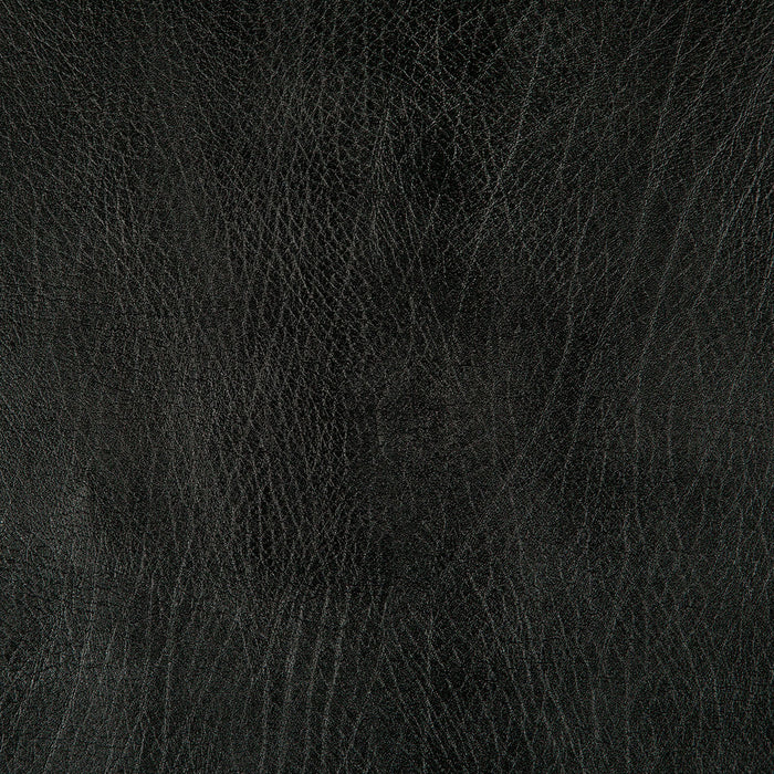 Pindler Rowdy Black Fabric 8371