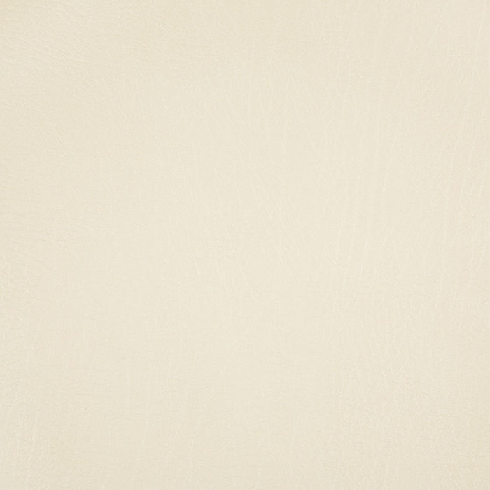 Pindler Rowdy Bone Fabric 8371
