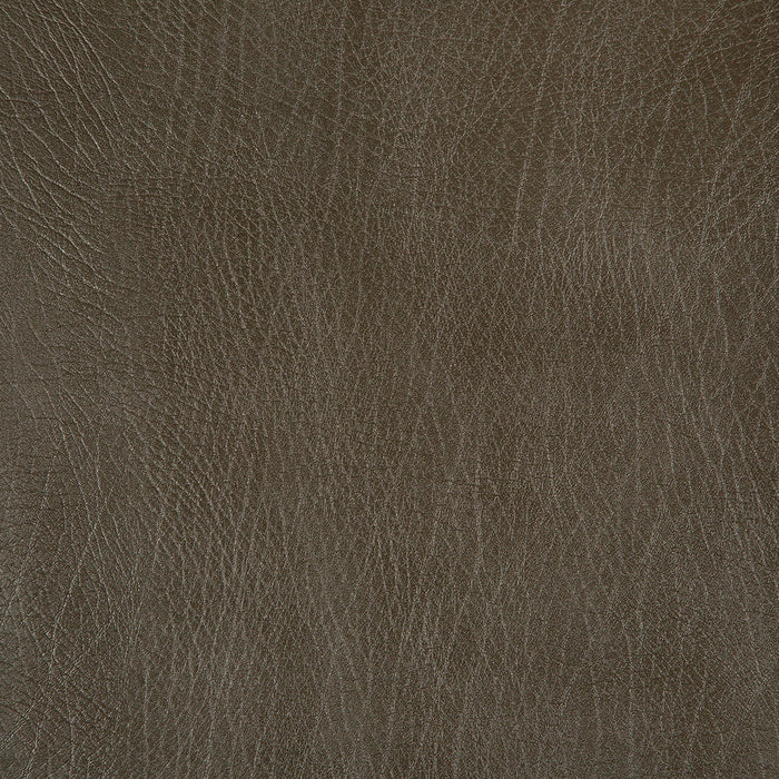 Pindler Rowdy Moss Fabric 8371