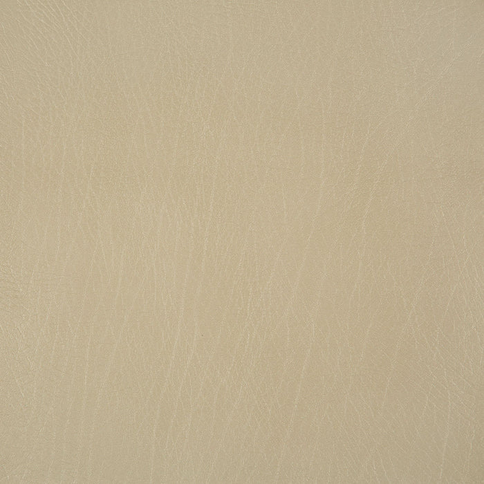 Pindler Rowdy Pumice Fabric 8371