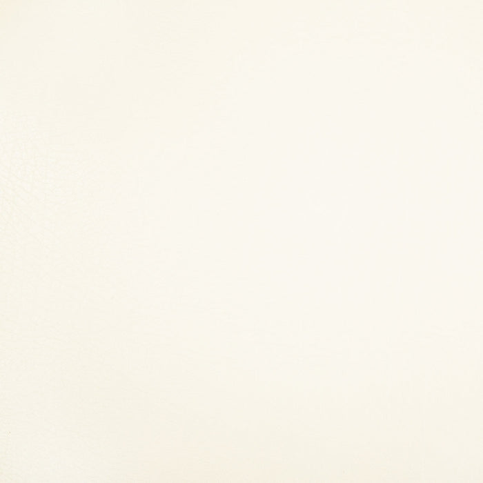 Pindler Rowdy White Fabric 8371