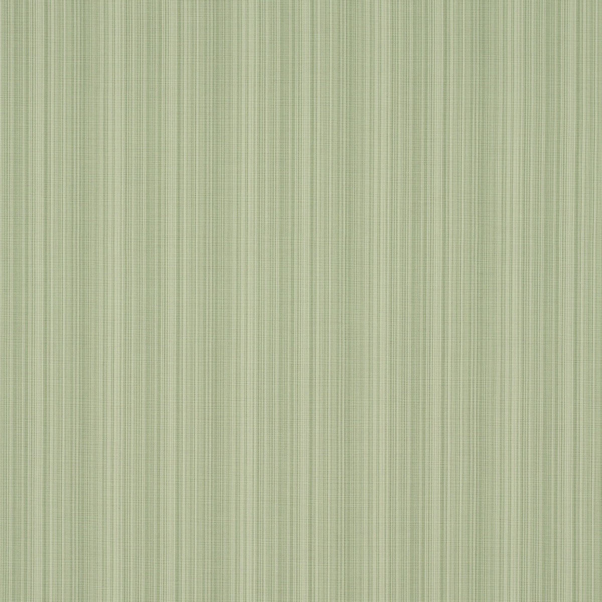 Schumacher Gracie Solid Strie Leaf Green Fabric 83720