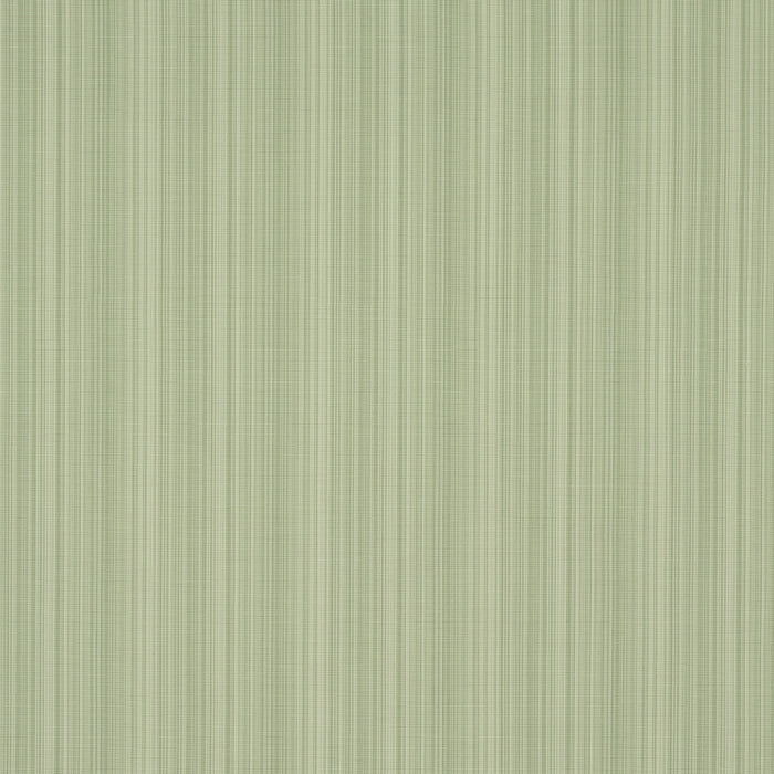 Schumacher Gracie Solid Strie Leaf Green Fabric 83720