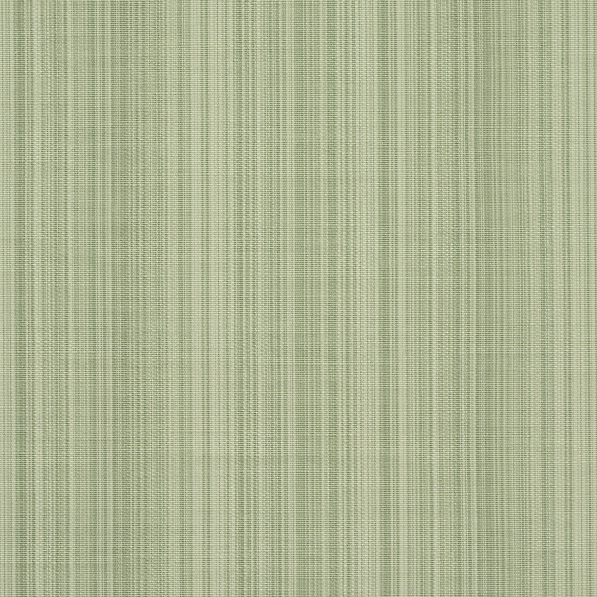 Schumacher Gracie Solid Strie Leaf Green Fabric 83720