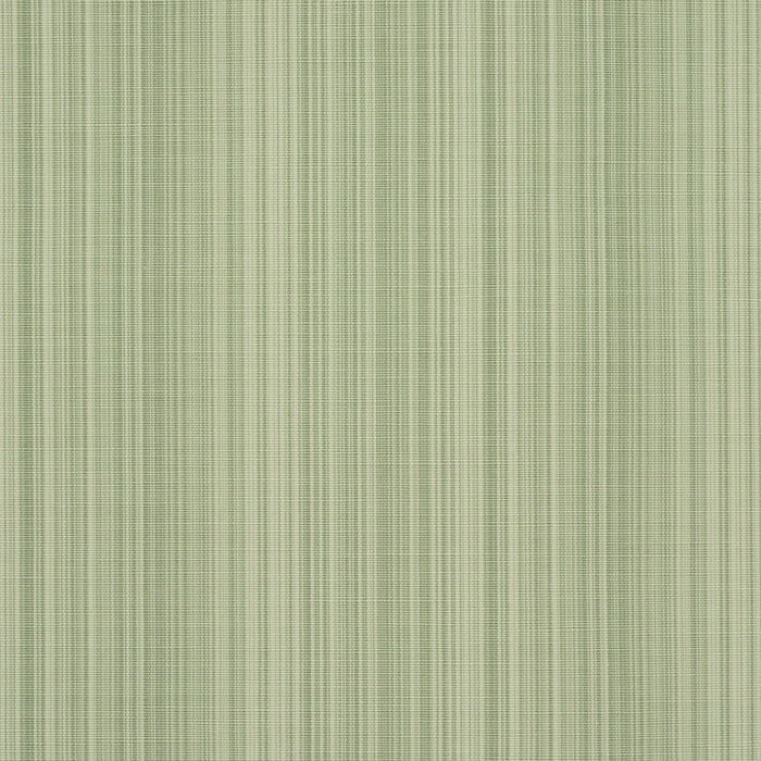 Schumacher Gracie Solid Strie Leaf Green Fabric 83720