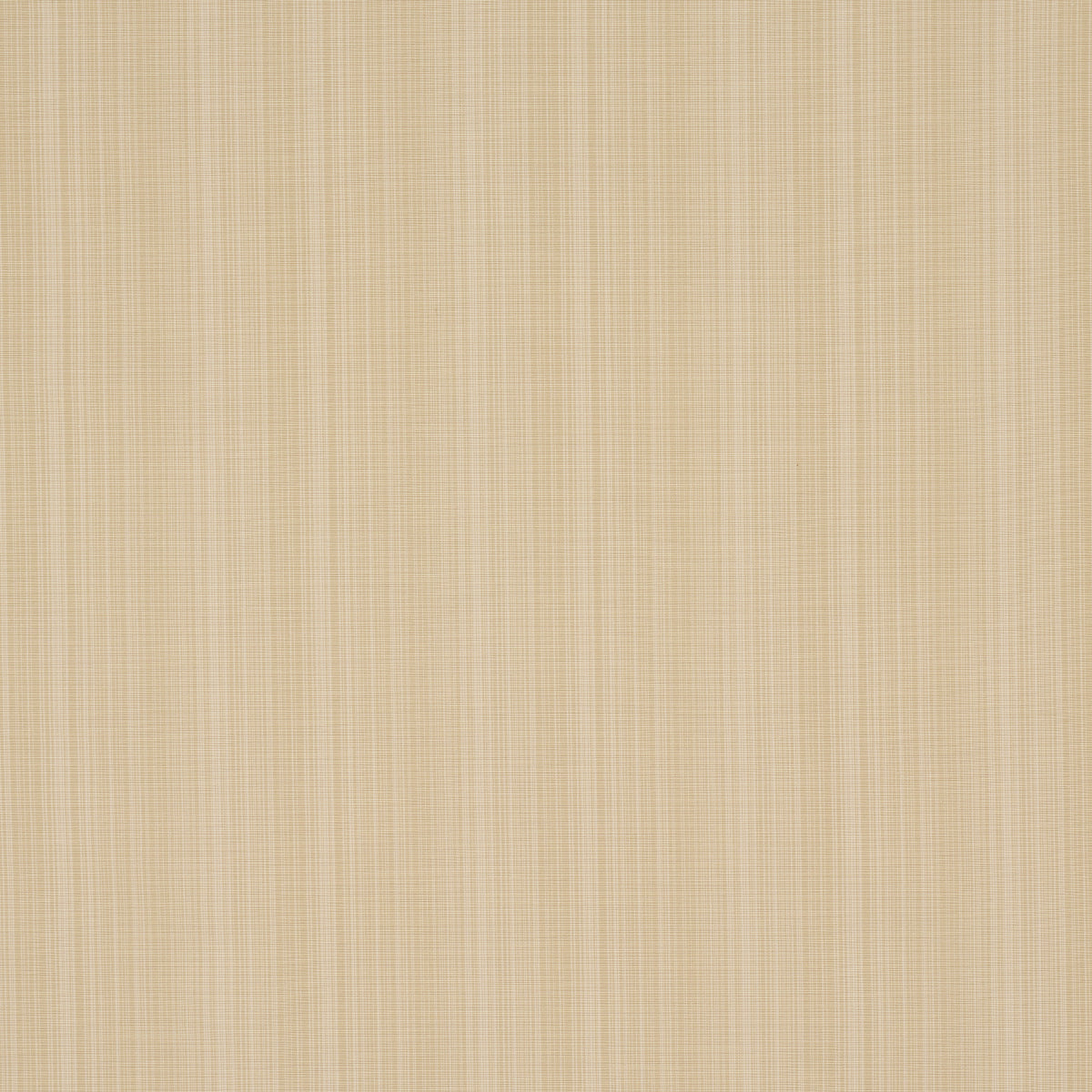 Schumacher Gracie Solid Strie Neutral Fabric Sample 83722