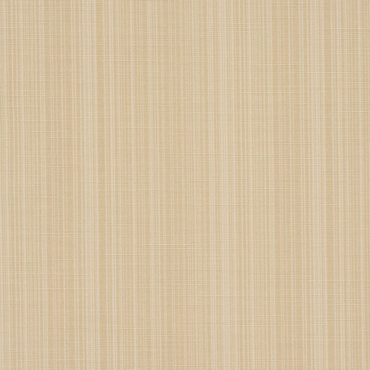 Schumacher Gracie Solid Strie Neutral Fabric 83722