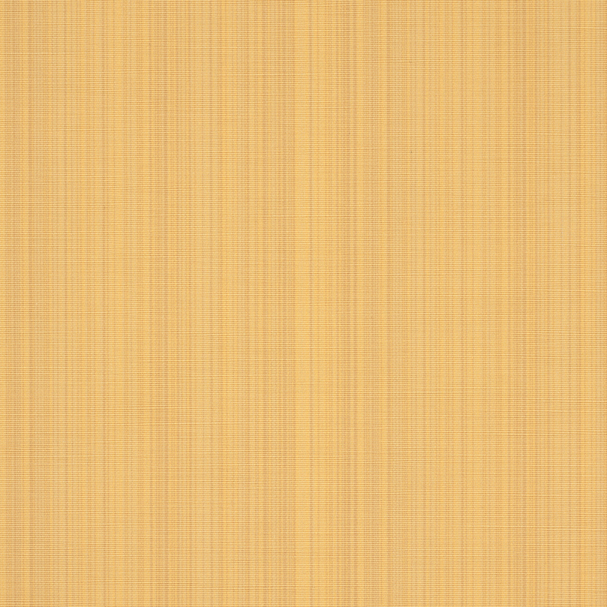 Schumacher Gracie Solid Strie Yellow Fabric 83725