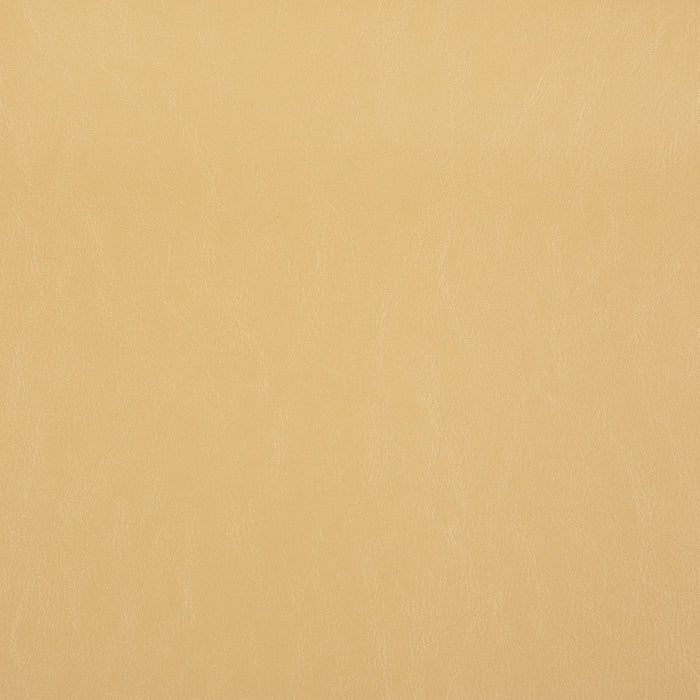 Pindler Carter Papyrus Fabric 8372