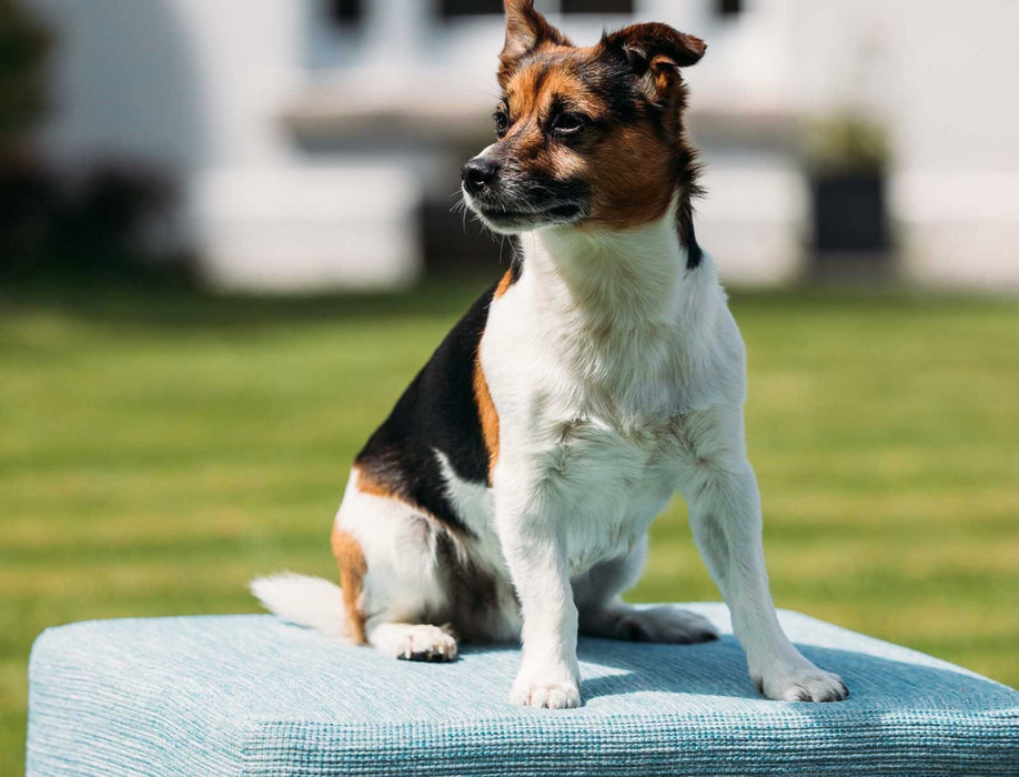 Fox Linton Studland Landfall Fabric FL010068009