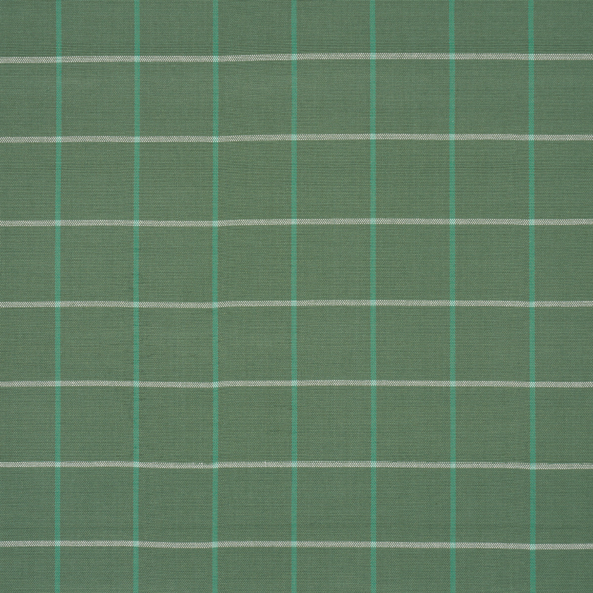 Schumacher Frannie Windowpane Green Fabric Sample 83783
