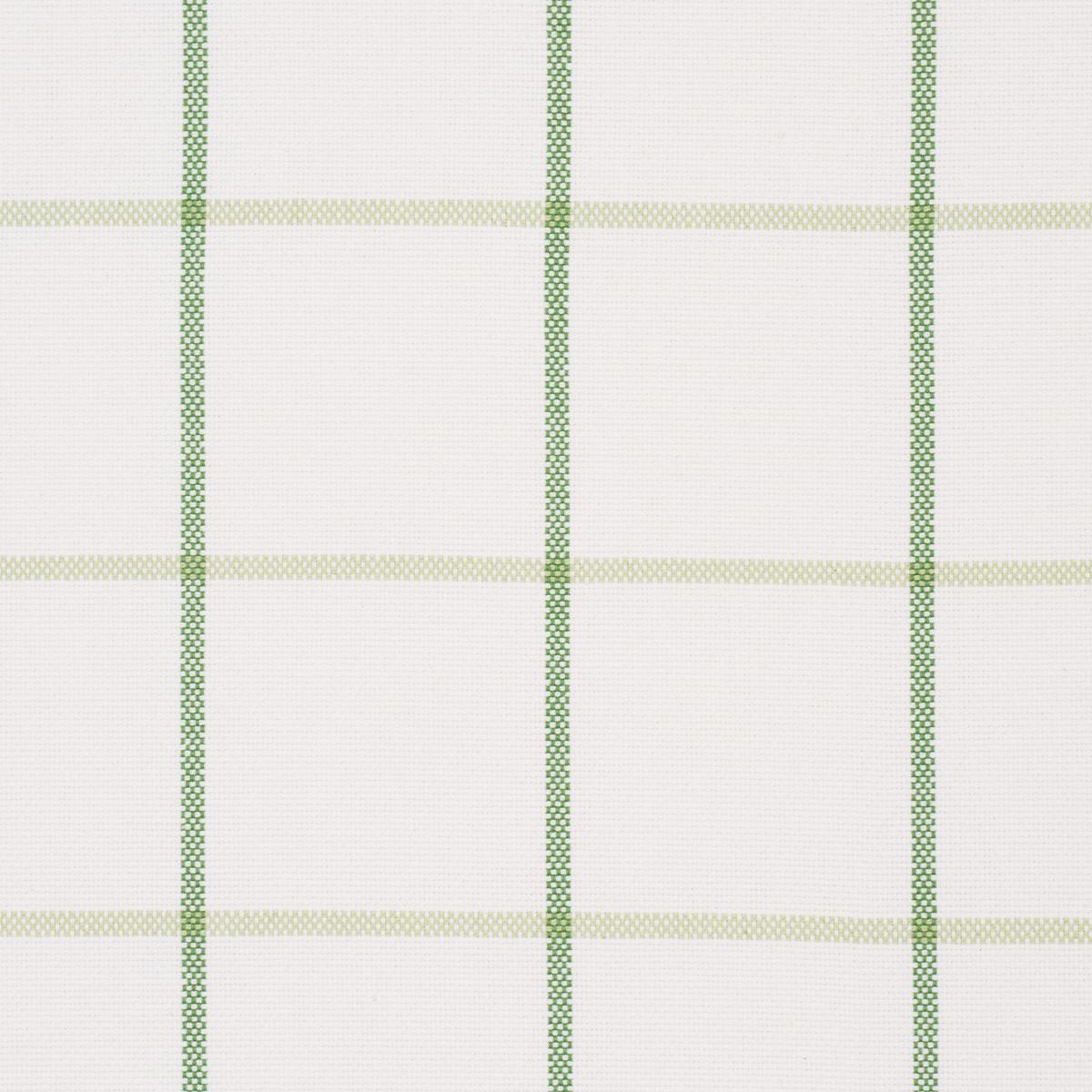 Schumacher Frannie Windowpane Leaf Green Fabric 83786