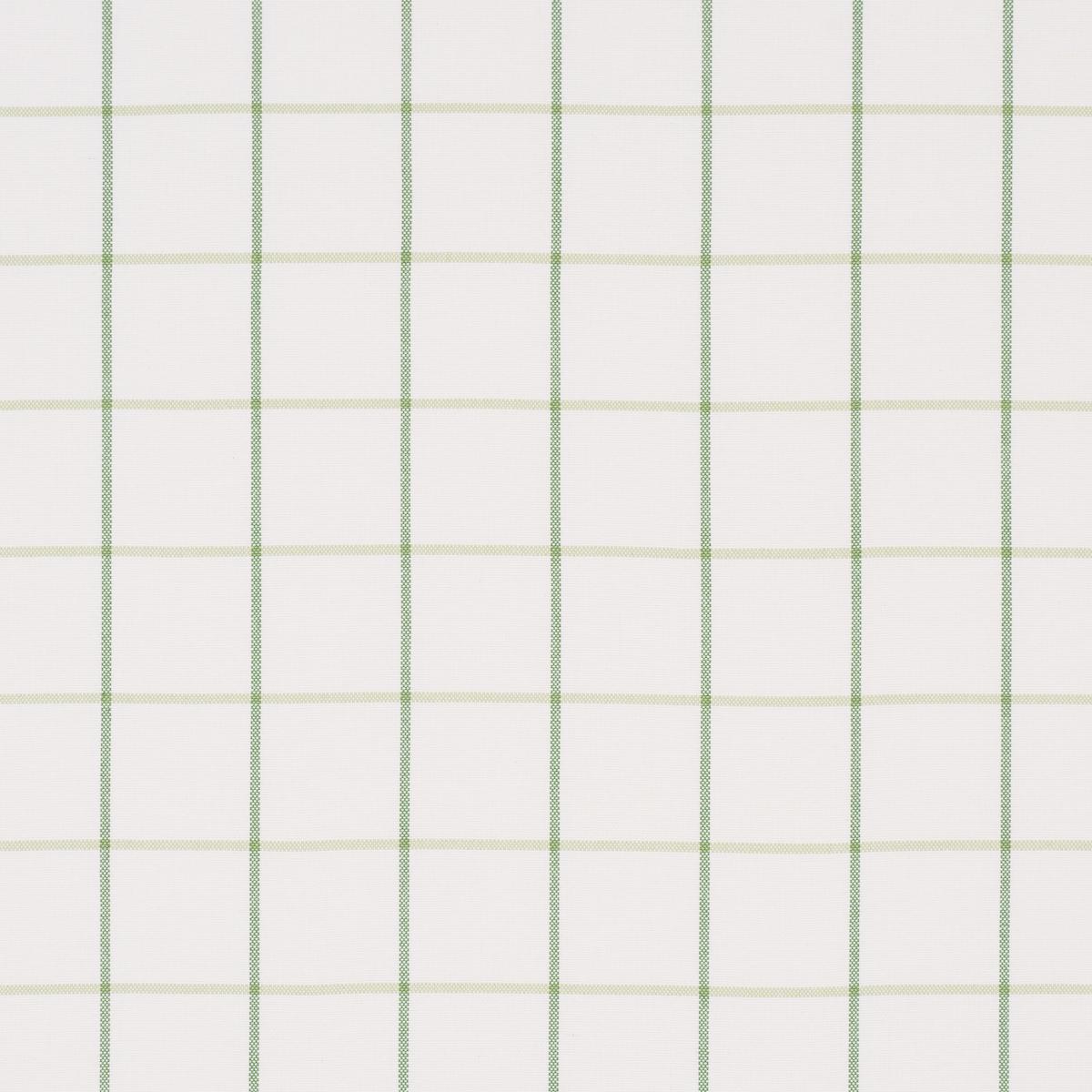 Schumacher Frannie Windowpane Leaf Green Fabric Sample 83786