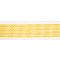 Schumacher Sandpiper Tape Narrow Yellow Trim 83890