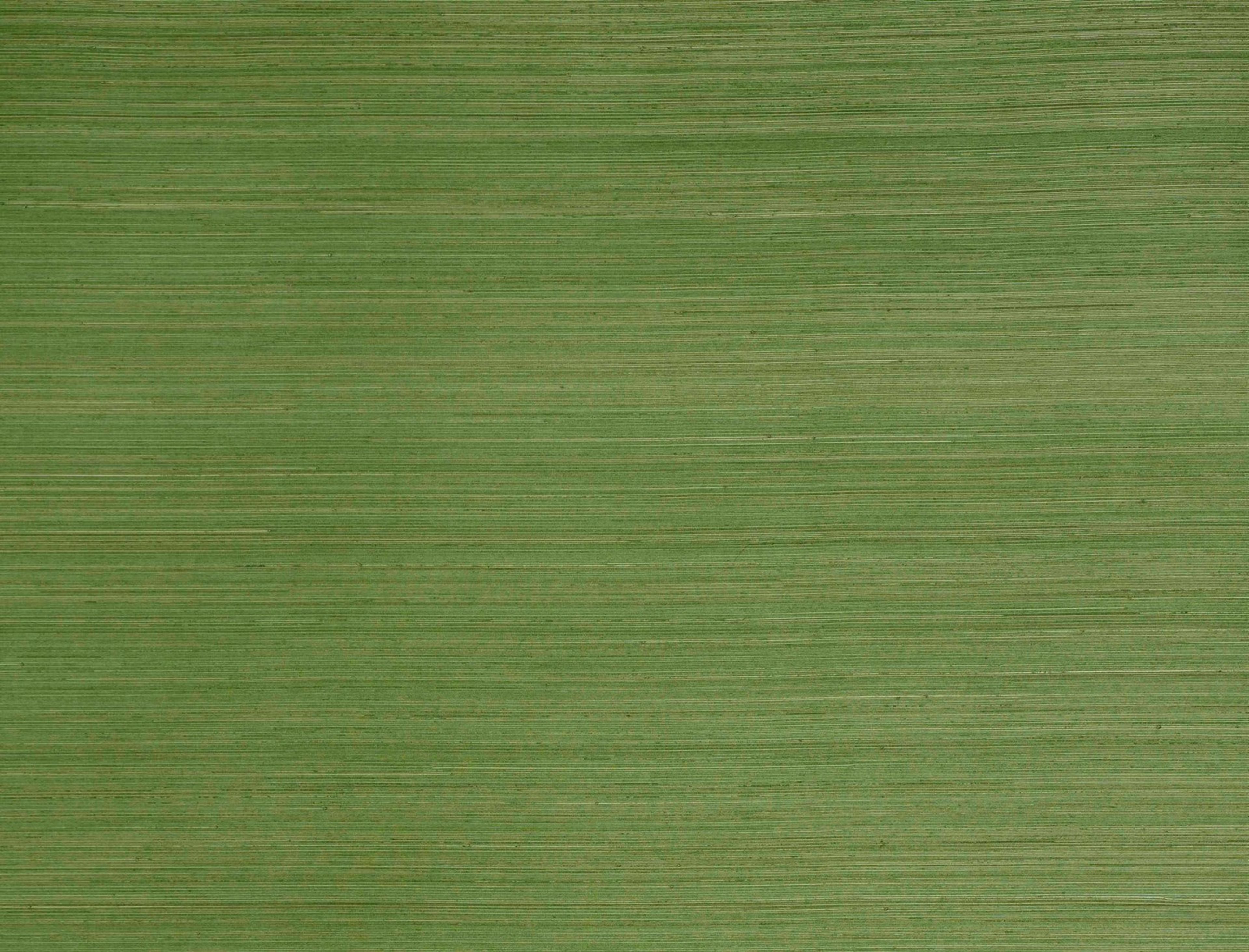 Jim Thompson Abaca  Palm Leaf Wallpaper JT021057012