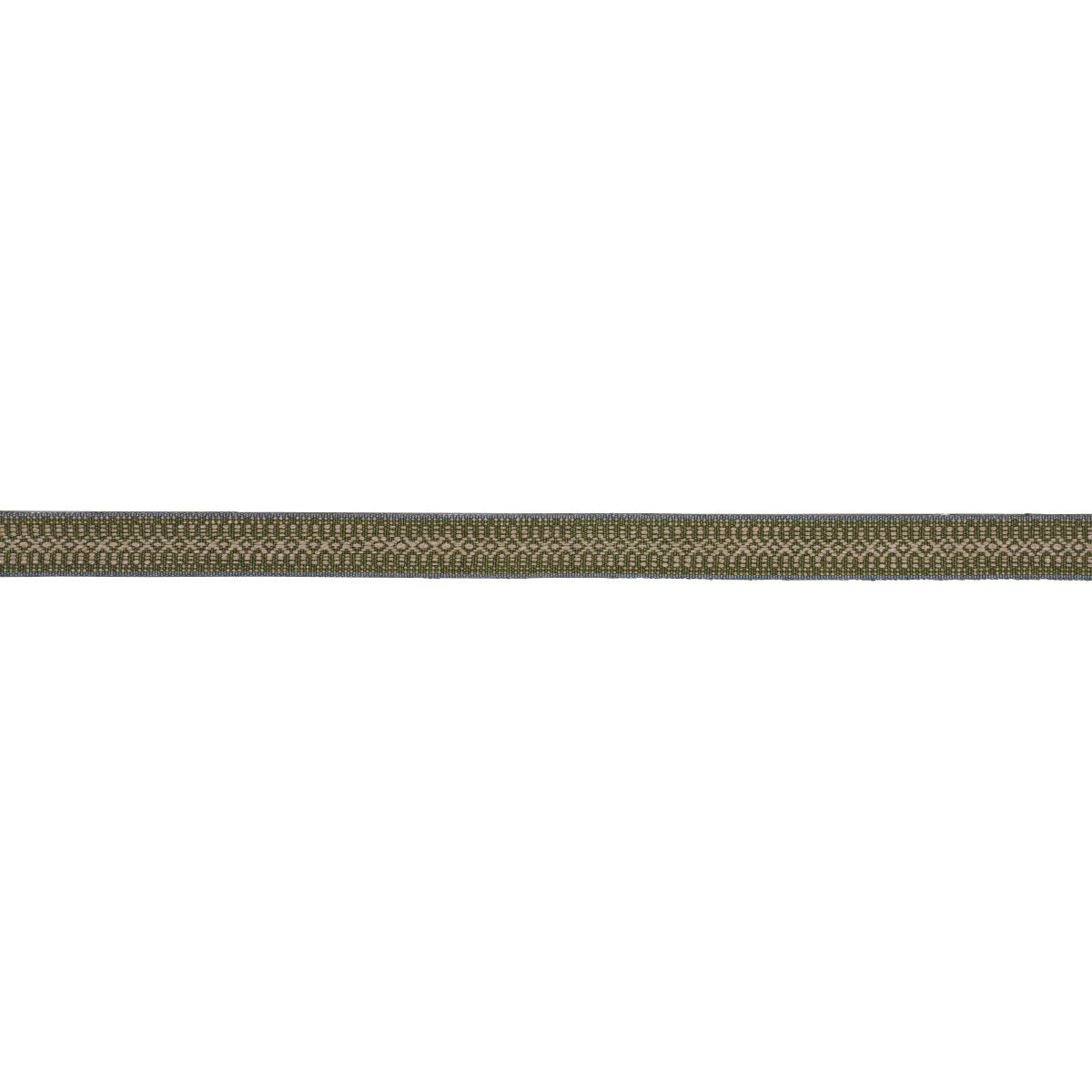 Schumacher Helena Linen Cotton Tape Fern Trim Sample 84022