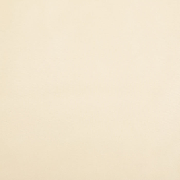 Pindler Raquel Biscuit Fabric 8403