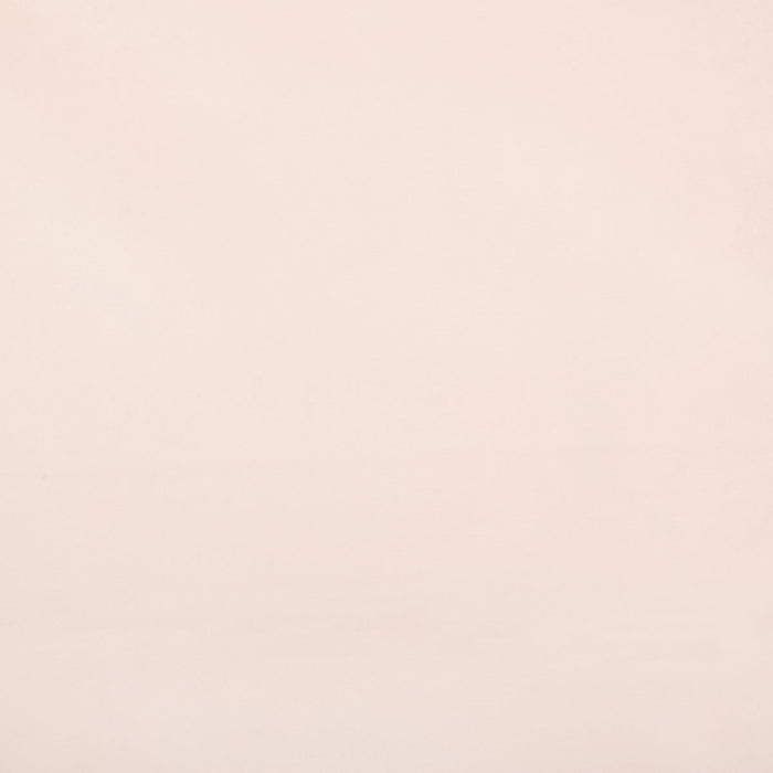 Pindler Raquel Shell Fabric 8403