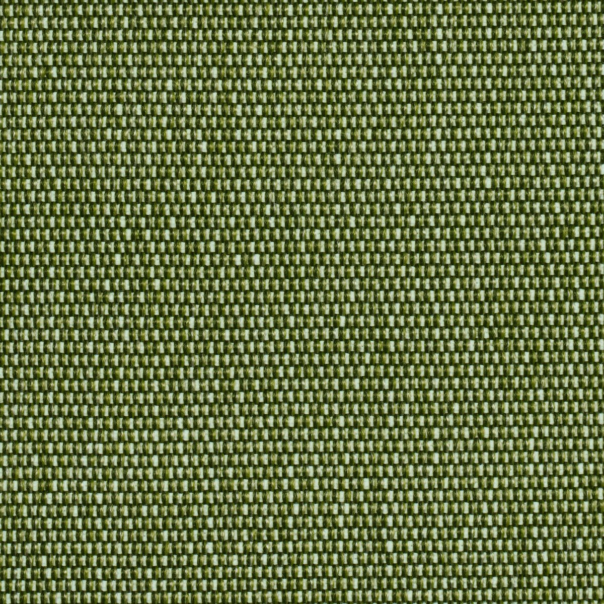 Schumacher Cooper Indoor/Outdoor Green Fabric Sample 84140