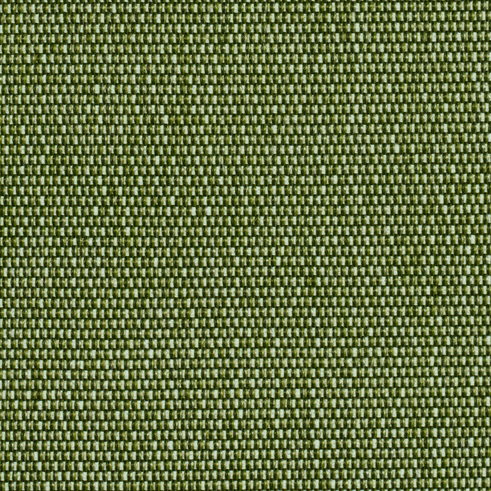 Schumacher Cooper Indoor/Outdoor Green Fabric 84140