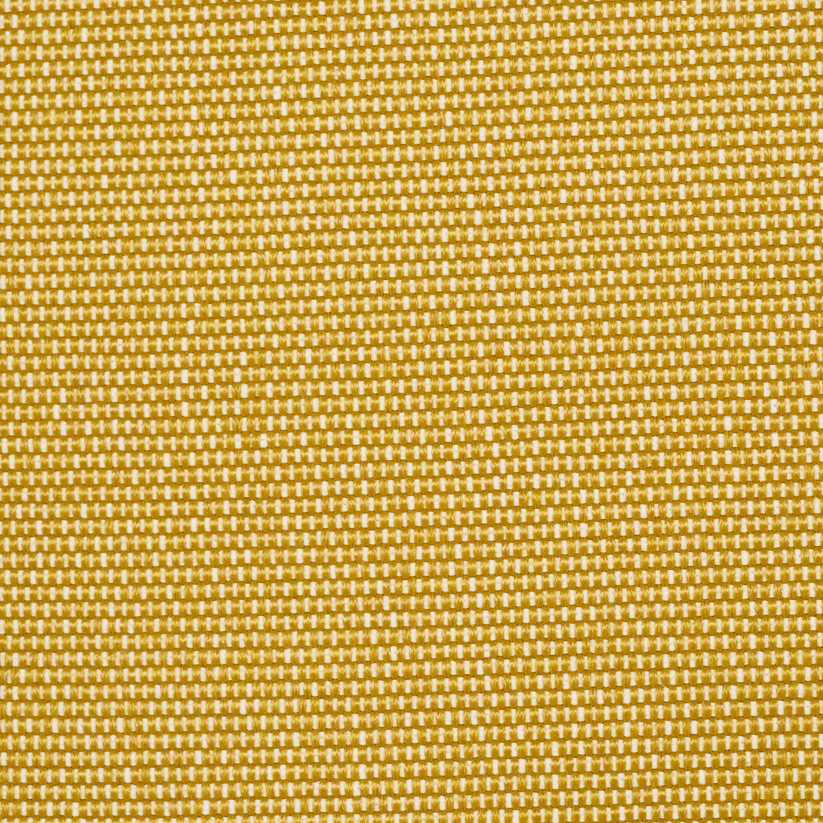 Schumacher Cooper Indoor/Outdoor Yellow Fabric Sample 84141