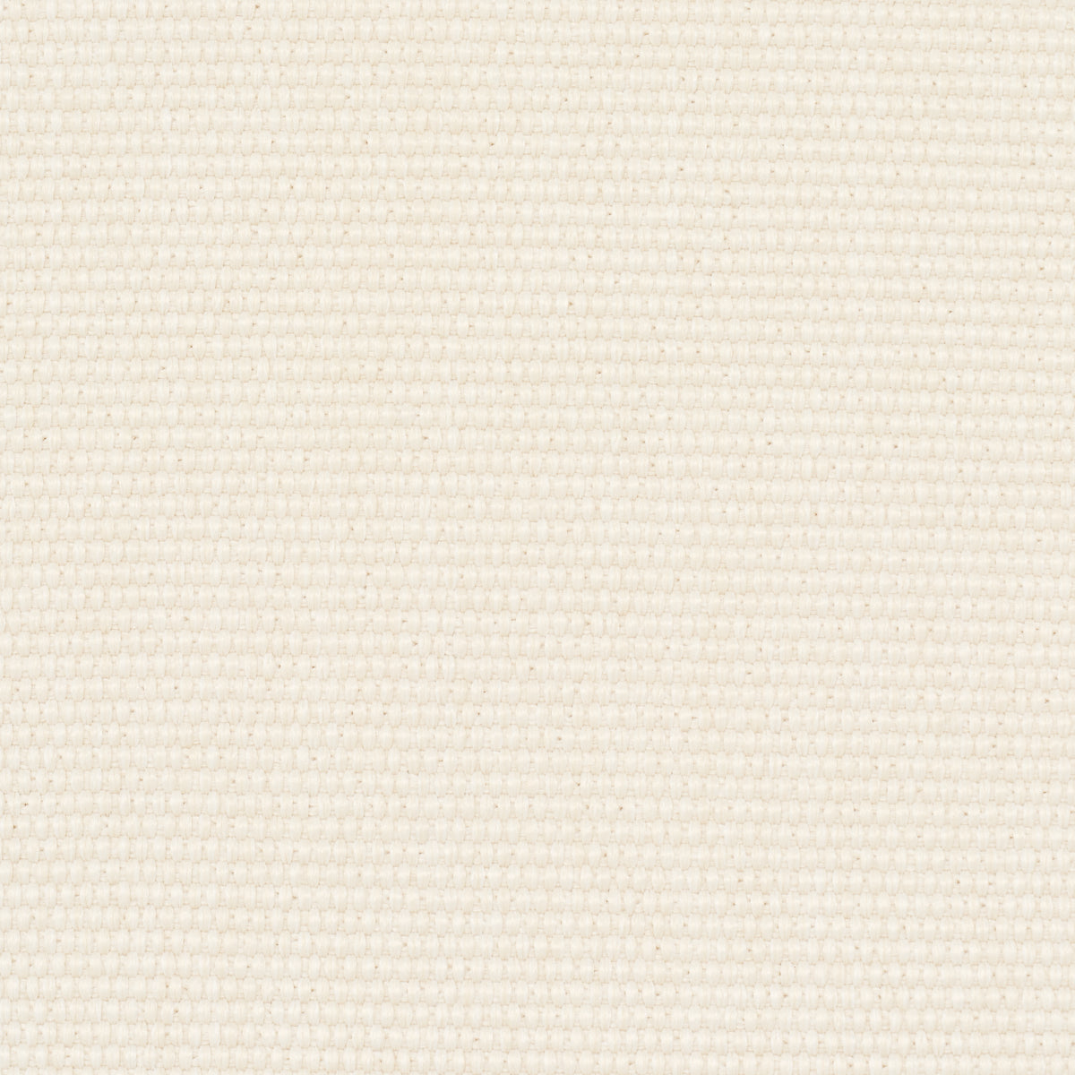 Schumacher Cooper Indoor/Outdoor Ivory Fabric Sample 84148