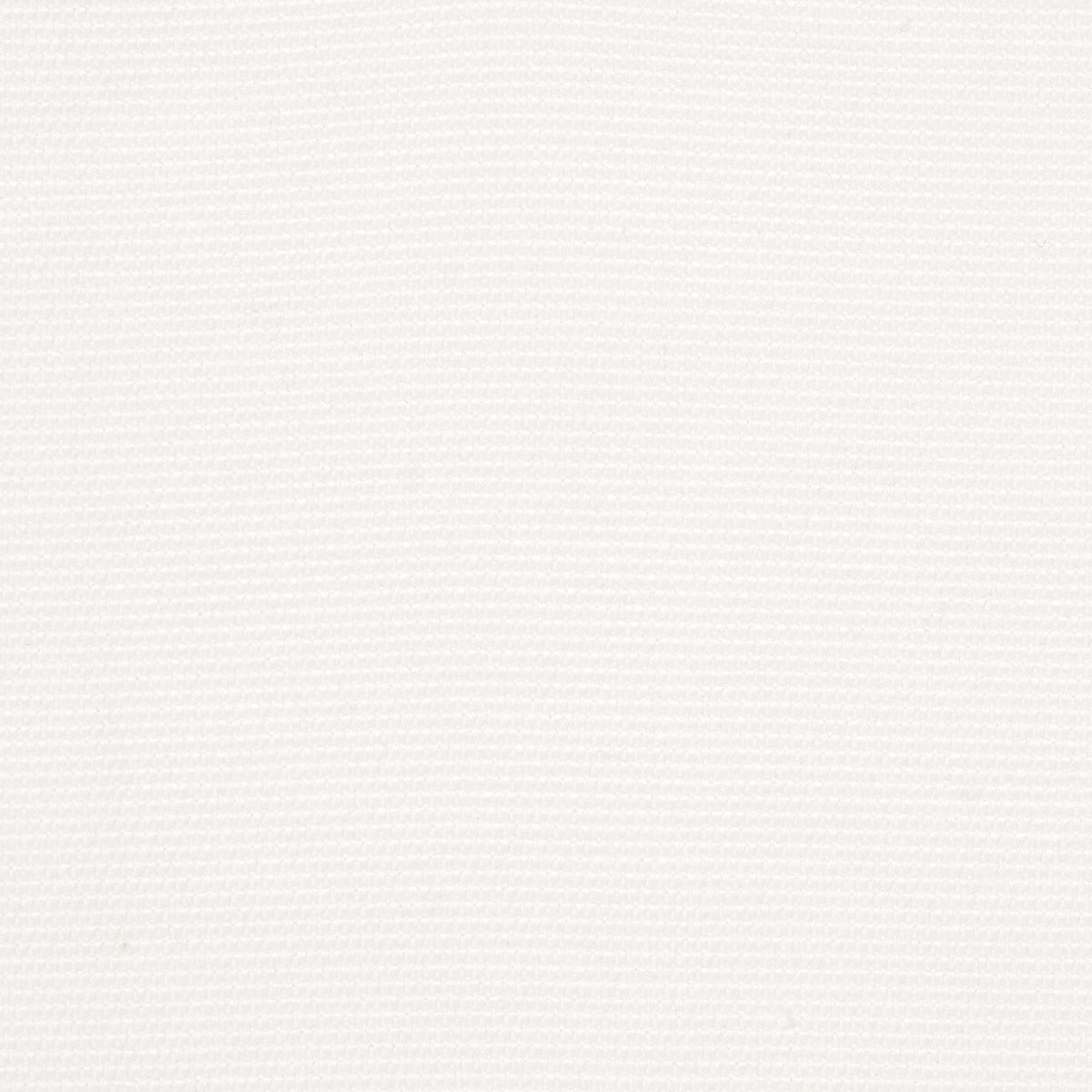 Schumacher Cooper Indoor/Outdoor White Fabric Sample 84149