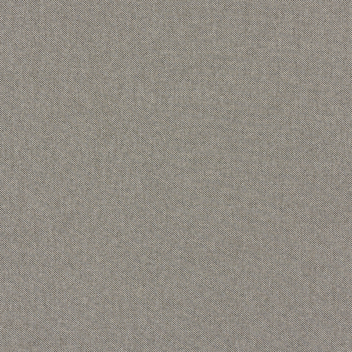 Schumacher Brock Indoor/Outdoor Black Fabric Sample 84160