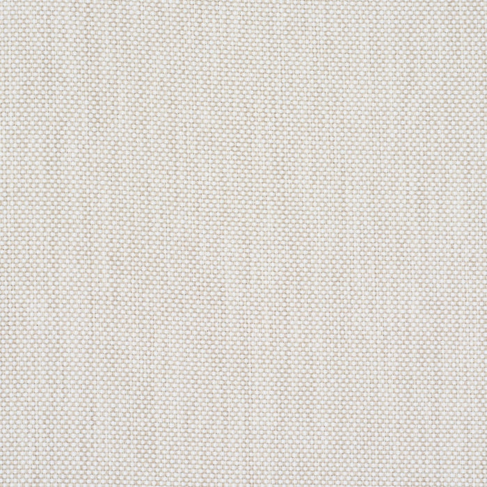 Schumacher Brock Indoor/Outdoor Neutral Fabric Sample 84165