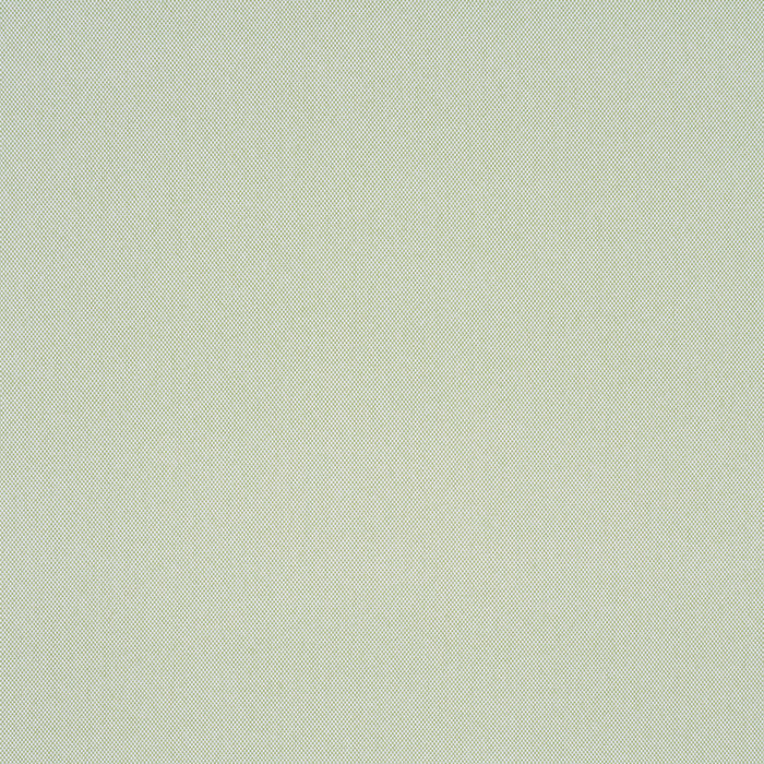 Schumacher Pippa Indoor/Outdoor Leaf Fabric Sample 84173