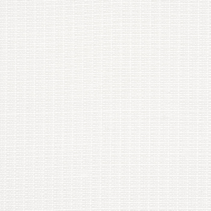 Schumacher Archie Indoor/Outdoor White Fabric Sample 84198
