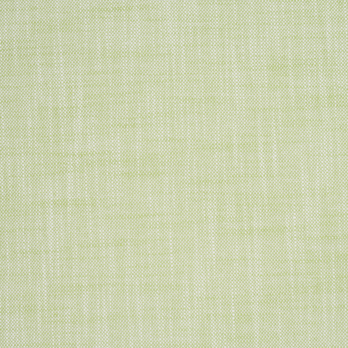 Schumacher Sasha Indoor/Outdoor Green Fabric Sample 84232