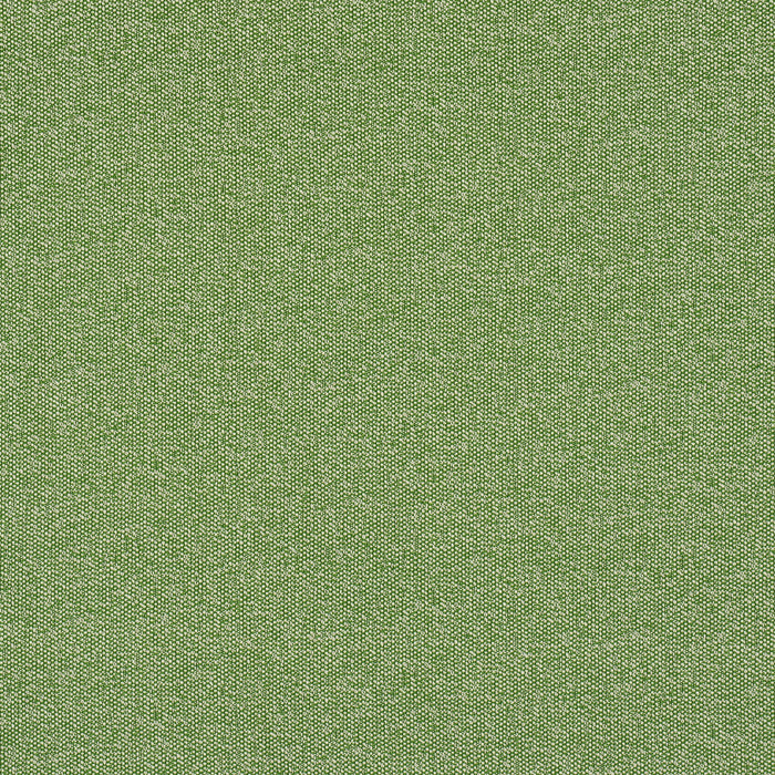 Schumacher Gus Indoor/Outdoor Grass Fabric 84341