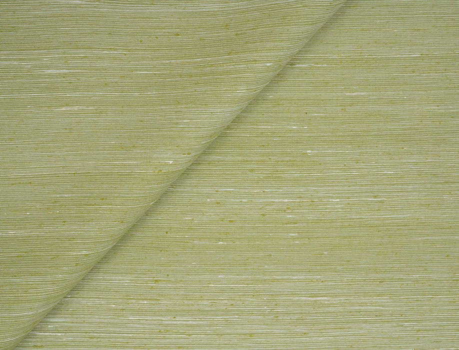 Jim Thompson Thara Lime Peel Fabric Sample JT013841021