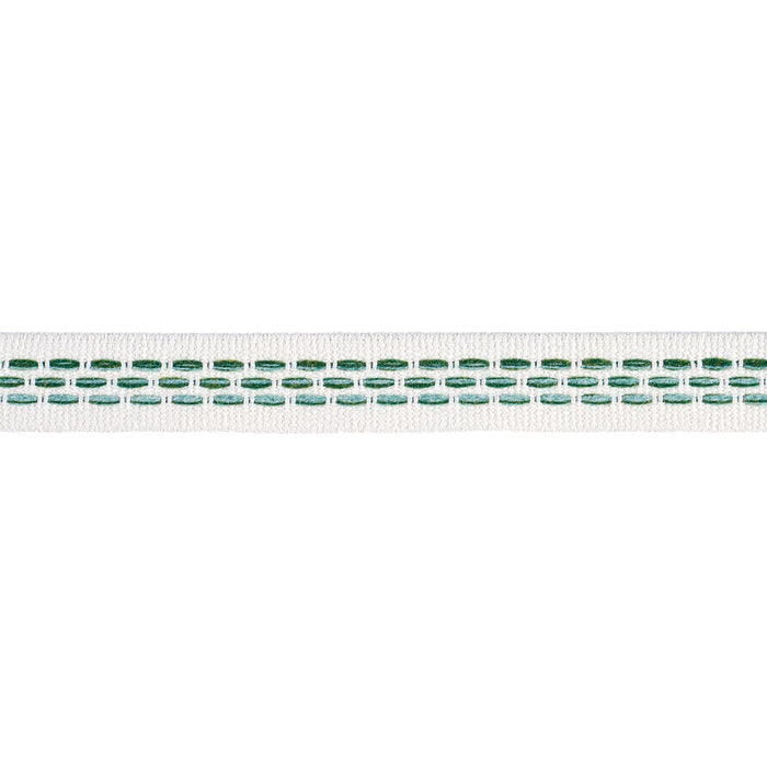 Schumacher Portola Tape Narrow Indoor/Outdoor Green Trim Sample 85182