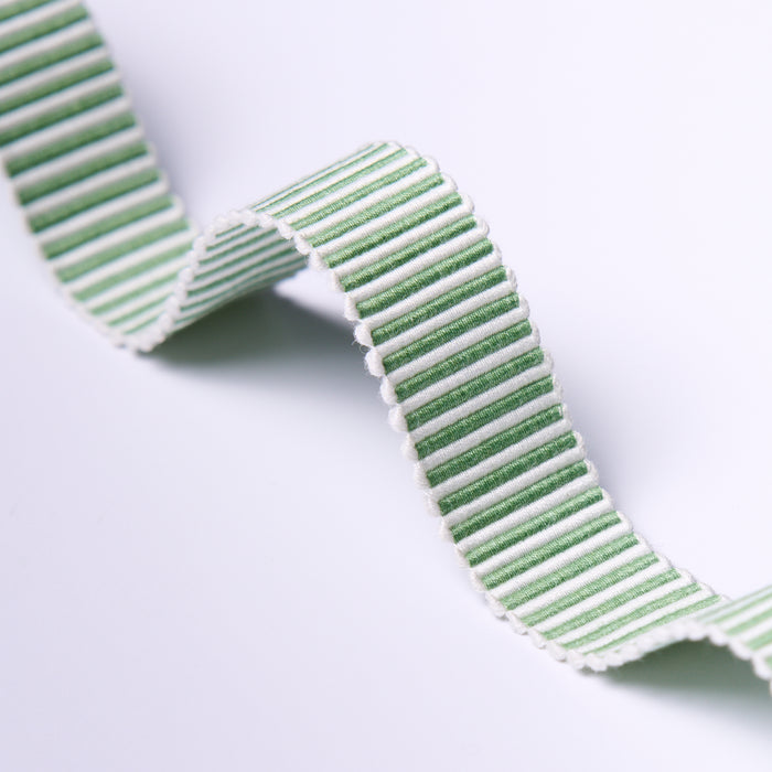 Schumacher Knox Tape Narrow Green Trim 85228