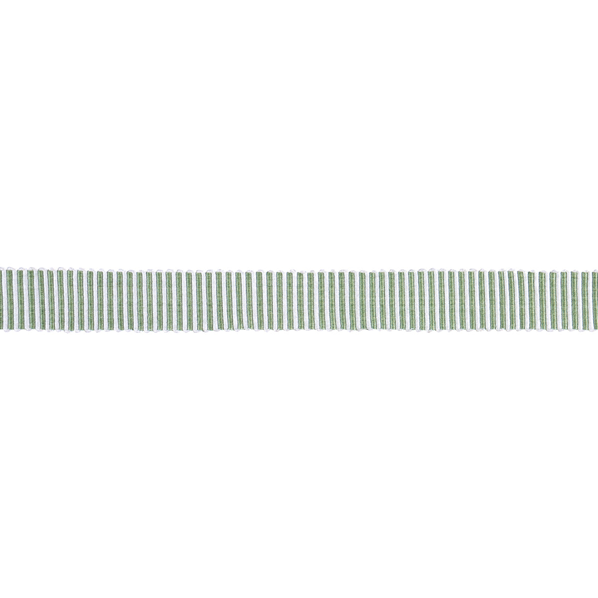 Schumacher Knox Tape Narrow Green Trim 85228