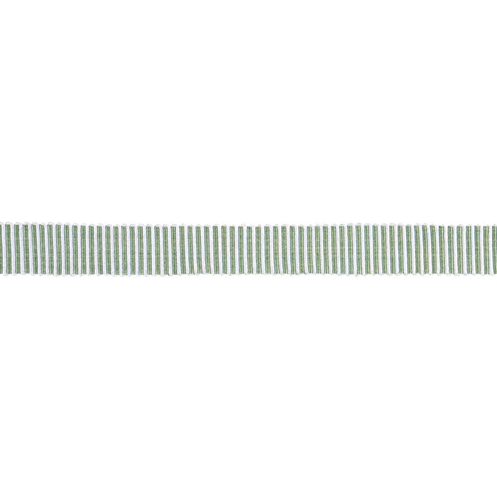 Schumacher Knox Tape Narrow Green Trim Sample 85228
