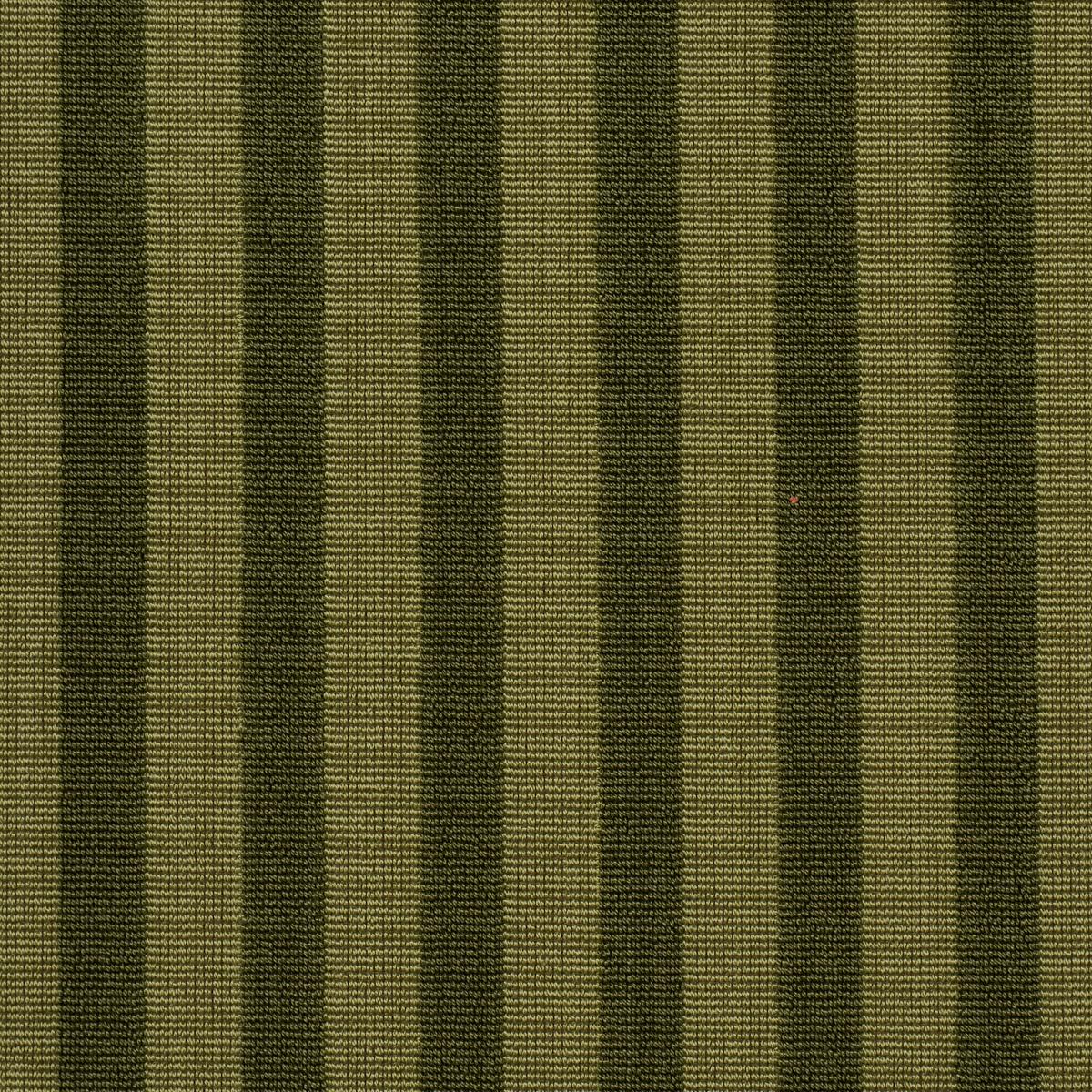 Schumacher Pipe Illusion Moss Fabric 85512
