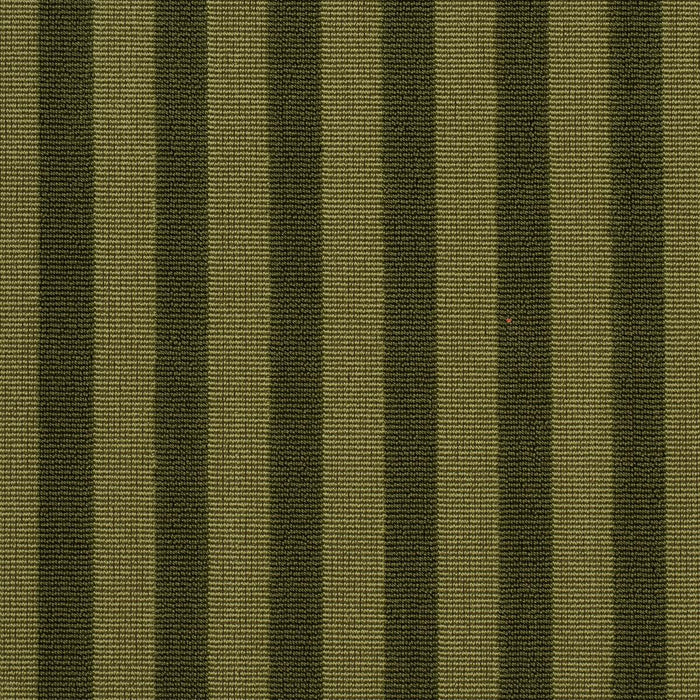 Schumacher Pipe Illusion Moss Fabric 85512